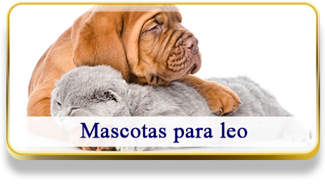 Mascotas para Leo