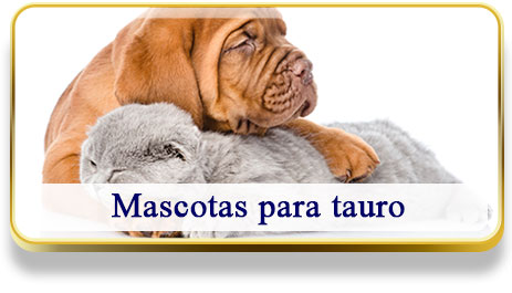 Mascotas para Tauro